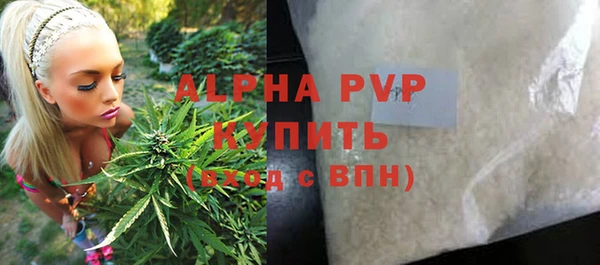 PSILOCYBIN Верхний Тагил